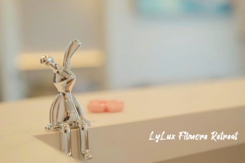 2 bedrooms Condo in The Filmore Da Nang in Hai Chau, Da Nang, No. 25878 10