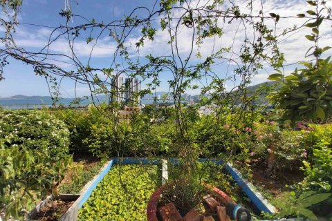 6 bedrooms House in Nha Trang, No. 28614 14