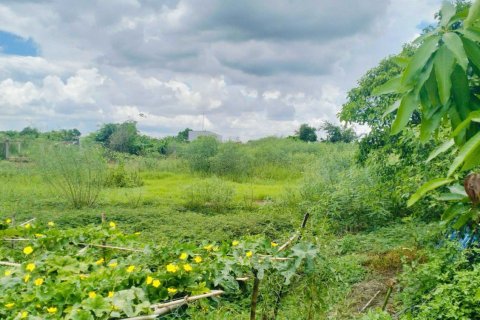 9500m2 Land in Binh Chanh, Ho Chi Minh,  No. 26183