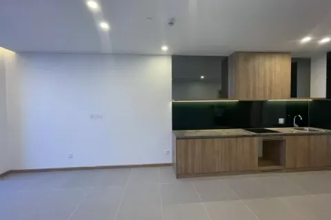 1 bedroom Apartment in Hai Chau, Da Nang,  No. 29381 22