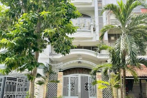 Studio Townhouse in District 7, Ho Chi Minh, No. 30309