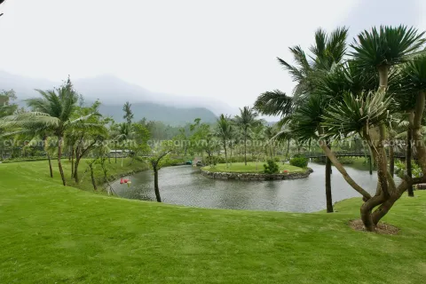 3 bedrooms Villa in Hue,  No. 29445 13
