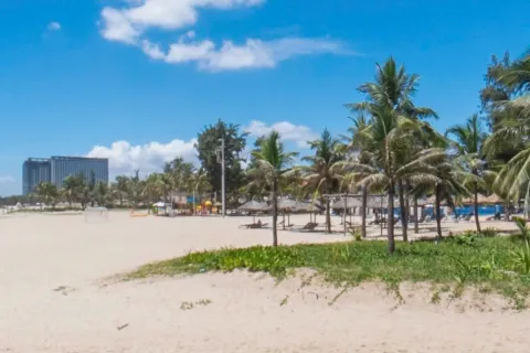 101m2 Land in Ngu Hanh Son, Da Nang,  No. 29451 3