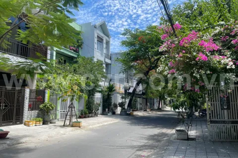 Land in Son Tra, Da Nang,  No. 29422