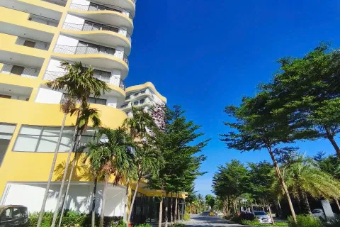 1 bedroom Apartment in Da Nang,  No. 29369 4