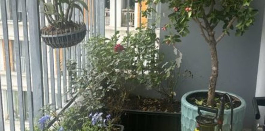 3 bedrooms Townhouse in Ho Chi Minh,  No. 26786