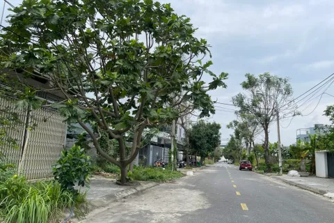 Land in Ngu Hanh Son, Da Nang,  No. 29442 7