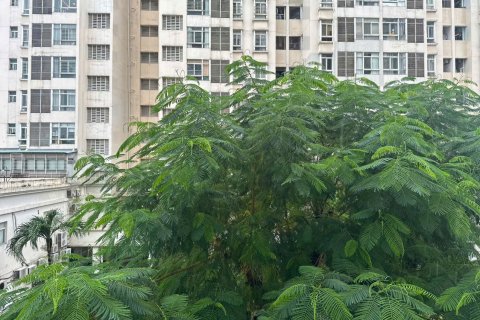 2 bedrooms Apartment in District 7, Ho Chi Minh, No. 29932 14