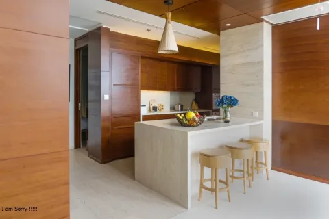 3 bedrooms Penthouse in Ngu Hanh Son, Da Nang,  No. 29487 13