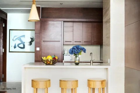 3 bedrooms Penthouse in Ngu Hanh Son, Da Nang,  No. 29487 12