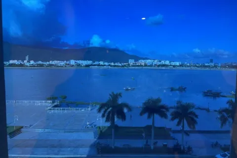 3 bedrooms Apartment in Hai Chau, Da Nang,  No. 29433 8