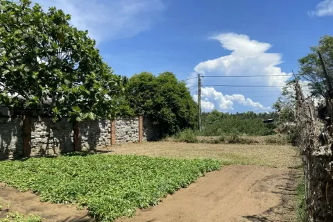 386m2 Land in Cam Ha, Cam Xuyen,  No. 29460 3