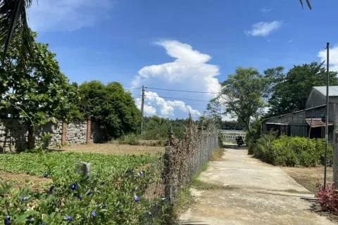 386m2 Land in Cam Ha, Cam Xuyen,  No. 29460 2