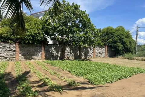 386m2 Land in Cam Ha, Cam Xuyen,  No. 29460 4