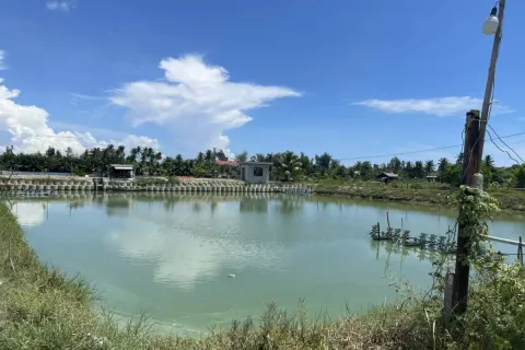 386m2 Land in Cam Ha, Cam Xuyen,  No. 29460 8