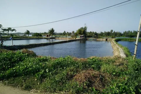 386m2 Land in Cam Ha, Cam Xuyen,  No. 29460 5