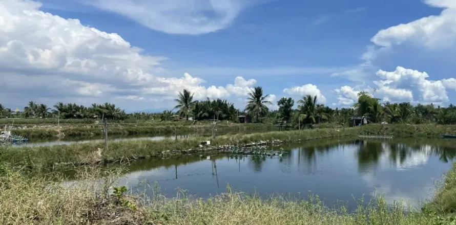 386m2 Land in Cam Ha, Cam Xuyen,  No. 29460
