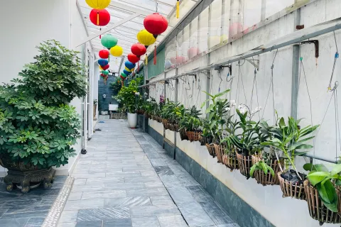 3 bedrooms Villa in Da Nang,  No. 29463