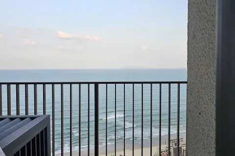 2 bedrooms Apartment in Son Tra, Da Nang,  No. 29462 7