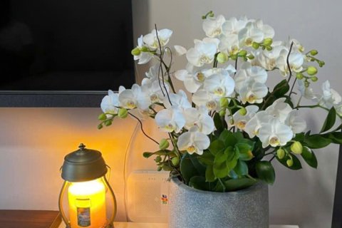 2 bedrooms Apartment in Ho Chi Minh,  No. 26775 9