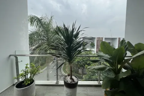 3 bedrooms House in Thu Duc, Ho Chi Minh,  No. 27124 3