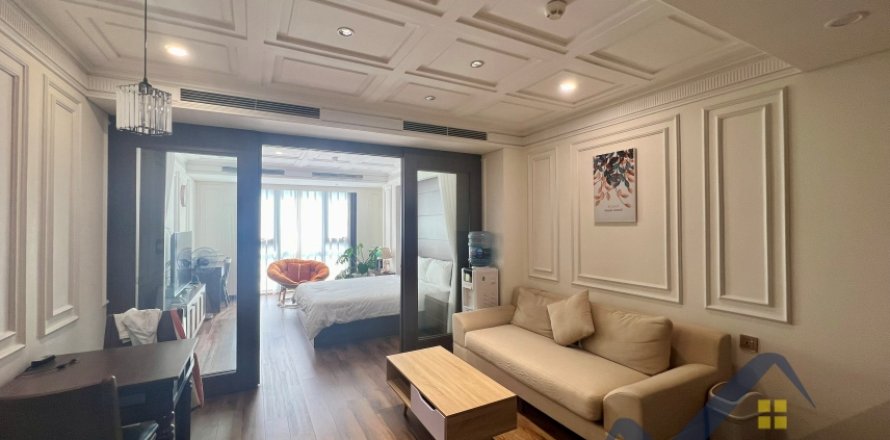 1 bedroom Apartment in Hai Ba Trung, Ha Noi,  No. 26581